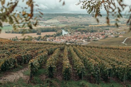 Vineyard Vibes: Crafting The Ideal Atmosphere For Wine And Dine Evenings