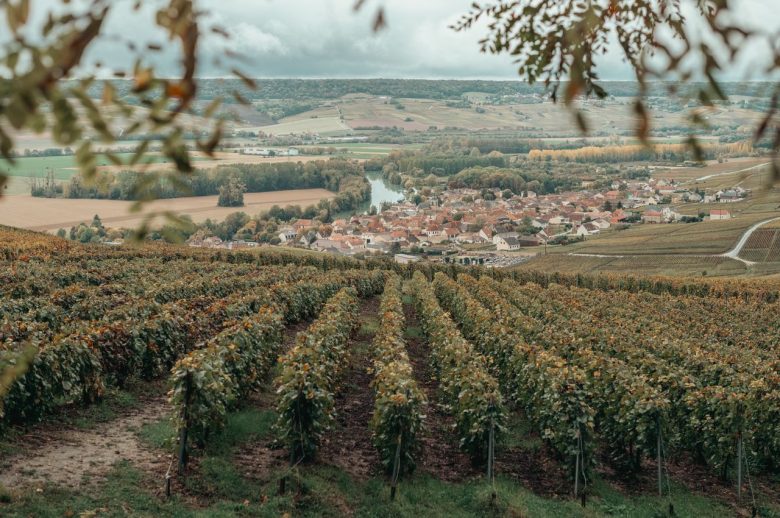 Vineyard Vibes: Crafting The Ideal Atmosphere For Wine And Dine Evenings